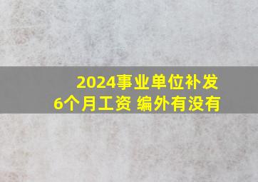 2024事业单位补发6个月工资 编外有没有